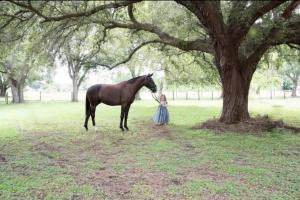 Rustic Oak Acres *Wedding or Content Worthy!* - 4hvězdičkové hotely ve městě Fort Myers