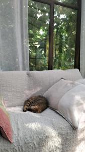 Maisons d'hotes LE 17 : photos des chambres