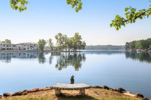 Thunderbird Resort Condo