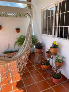 La Casa de Luzma