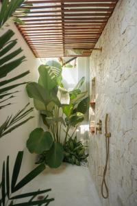 Manao Villas - Luxury Boutique Resort