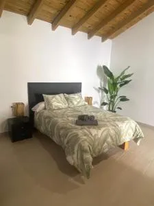 Apartamentos Algodonales - Algodonales
