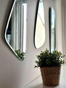Appartements Le Belly - Fontainebleau : photos des chambres