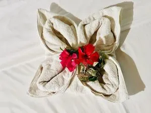 Kurnia Family Homestay & Restaurant! - Dompu