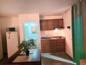 Blue Pool Sol Caribe