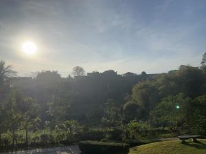 บ้านสวนปันสุข วังน้ำเขียว