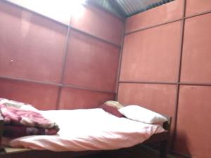 Return to nature homestay