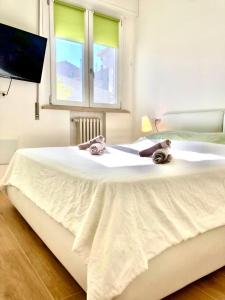 Stanza e bagno privato, idromassaggio con extra fee, in appartamento