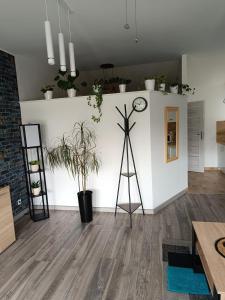 Apartament przy Białym Koniu