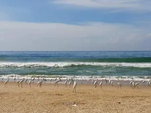 Aditi Ayurveda Panchkarma Retreat - Pūvār