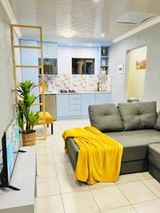 Modern studio apartments