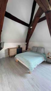 Appartements Charme plein coeur Auxerre - parking prive : photos des chambres