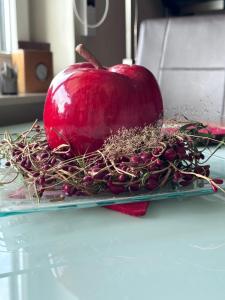 Ferienwohnung Tiggelkamp