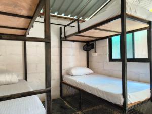 12 Monks - Beachfront Hostel