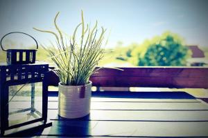 An der Steilküste Wohnung 03