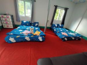 Pamaew Homestay ป้าแมว โฮมสเตย์