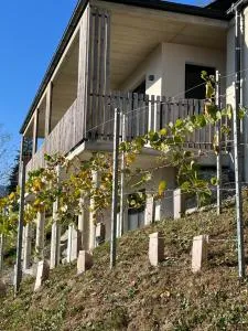 Haus Nebel - Zgornja Kapla