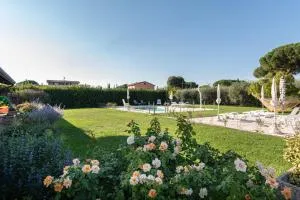 Rosa di Assisi - Bastia Umbra