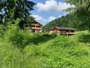 Pensiunea Tudorilor - Văleni-Stînişoara