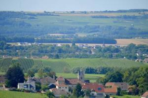 Appartements Agreable maison petit jardin a 7 minutes de Reims : photos des chambres