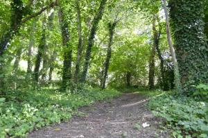 Appartements Agreable maison petit jardin a 7 minutes de Reims : photos des chambres