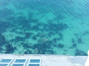 ILE WRACH - Duplex de luxe avec magnifique vue mer