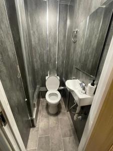 Lovely 4 bedroom Victorian house with back courtyard