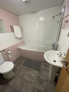 Lovely 4 bedroom Victorian house with back courtyard