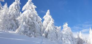 Das Sonnenheim Hotel und Garni