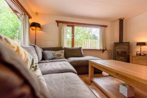 Spacious wooden cottage with infra-red sauna at Veluwe