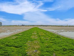 Charming apartment near the beach