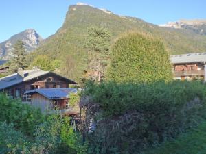 Confortable 2 pièces cabine à Samoëns avec wifi, parking et animaux admis - FR-1-629-105