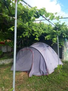 Camping Jungle in Borsh