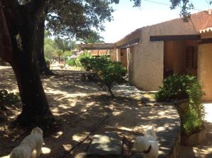 Villas Villa Ascopa : photos des chambres