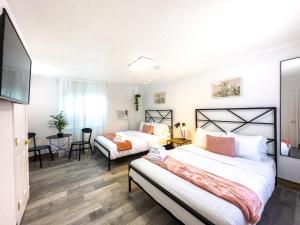 2Q beds Studio apt with Shared Pool 04