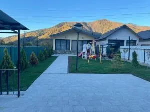 Villa Borjomi - Tsemi