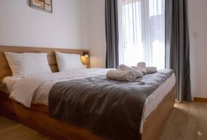 Apart Hotel Gondola Kolasin