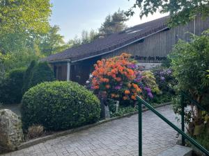 Hotels Notre Dame des Monts : photos des chambres