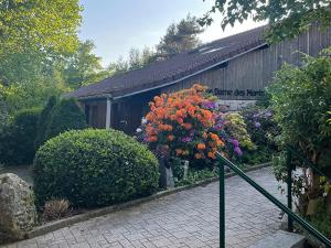 Hotels Notre Dame des Monts : photos des chambres