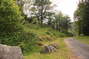 Hotels Notre Dame des Monts : photos des chambres