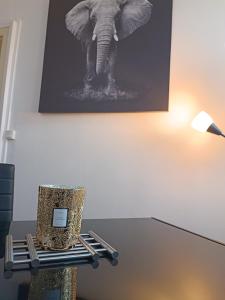 Appartements Coeur de Loire : photos des chambres