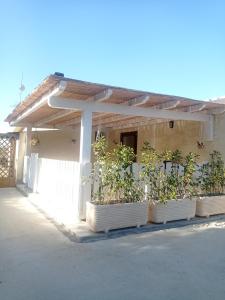 B&B Badde Tale img16