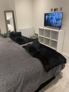 Spring Stays In Modern And Cozy 2 Bed City Centre Apartment With Free Secure Parking Space