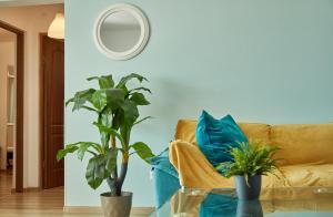 City Park Apartament 3 Camere Constanta