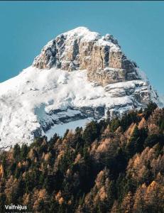 Appartements Appartement aux pieds des pistes : photos des chambres