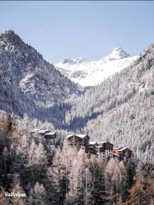 Appartements Appartement aux pieds des pistes : Appartement 1 Chambre