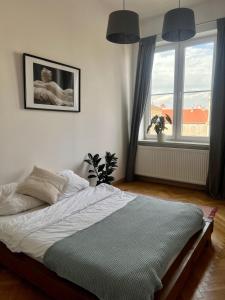 Chic Apartment in the Center of Cracow