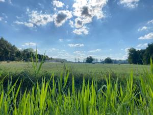 Spreewaldhaus Raddusch, Boote- Fahrräder gratis