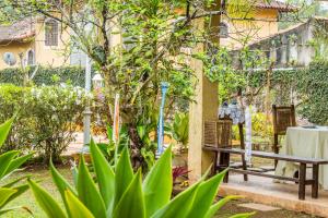 Villa Bem Querer - Camomila