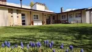 El viejo boliche - Baggle